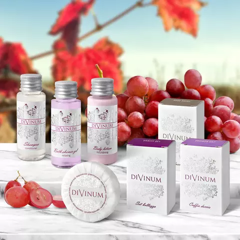 Divinum Hotel Amenities